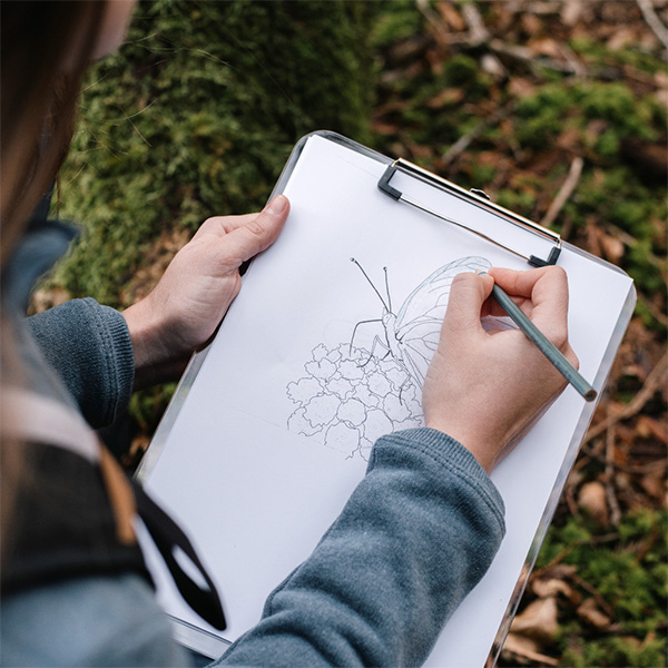 nature sketch