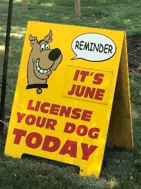 license your dog board
