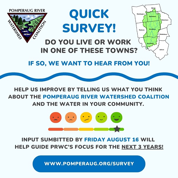 survey flyer