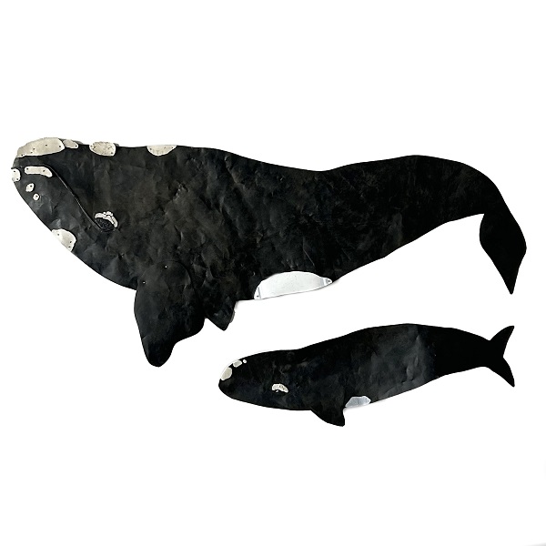 orcas mixed art