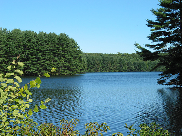 a reservoir