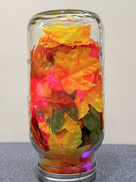 leaves in the jar