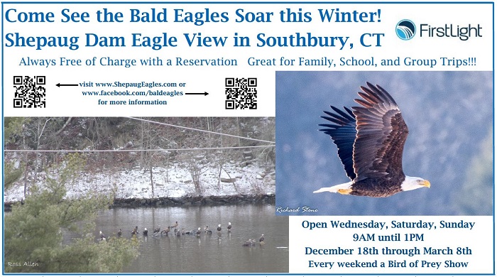 Shepaug Dam eagle view in Southbury flyer