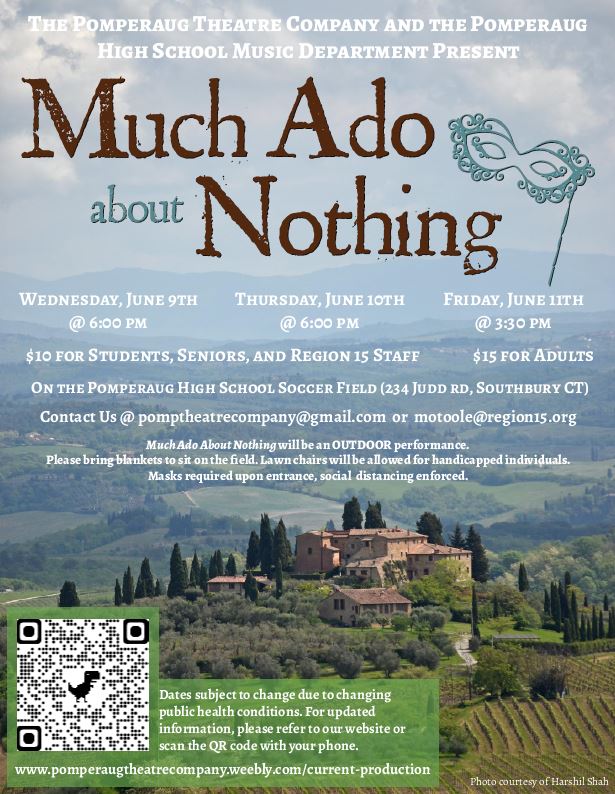 much ado about nothing flyer