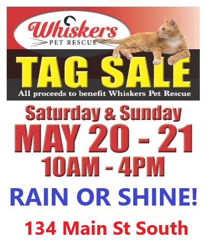 whiskers tag sale flyer