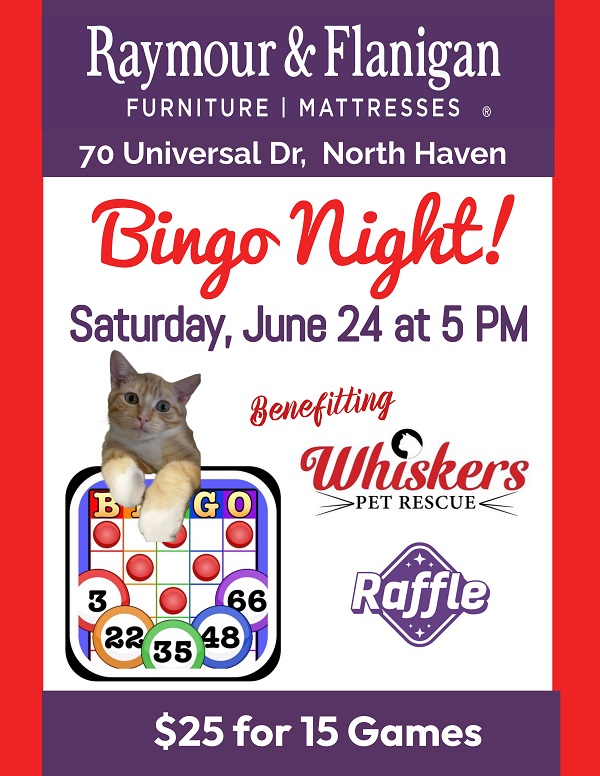 bingo night fundraiser flyer