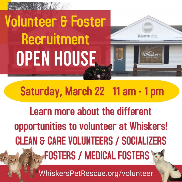 volunteer open house 