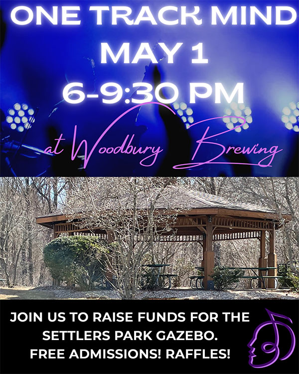 gazebo fundraiser flyer