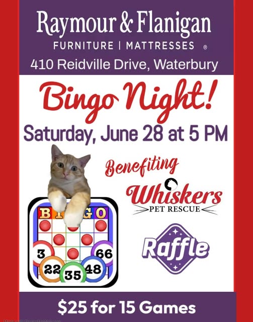 bingo night flyer