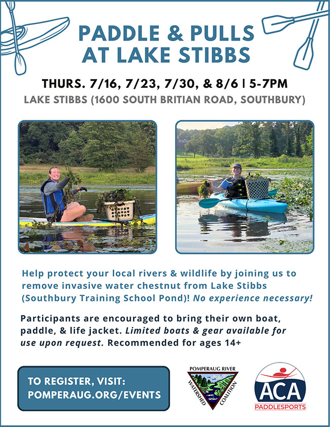paddle and pulls flyer