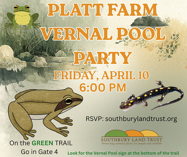 vernal pool party flyer
