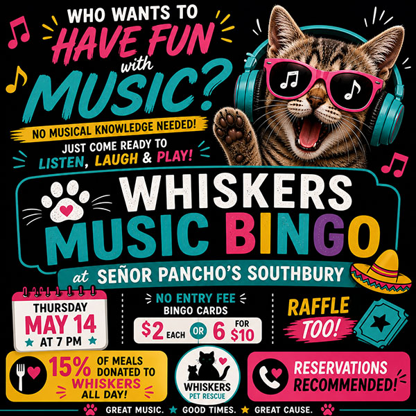 music bingo flyer