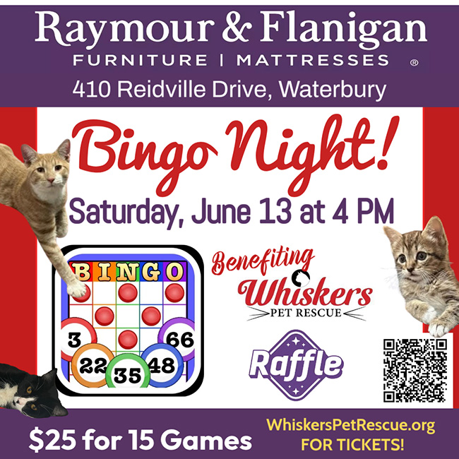 bingo night flyer