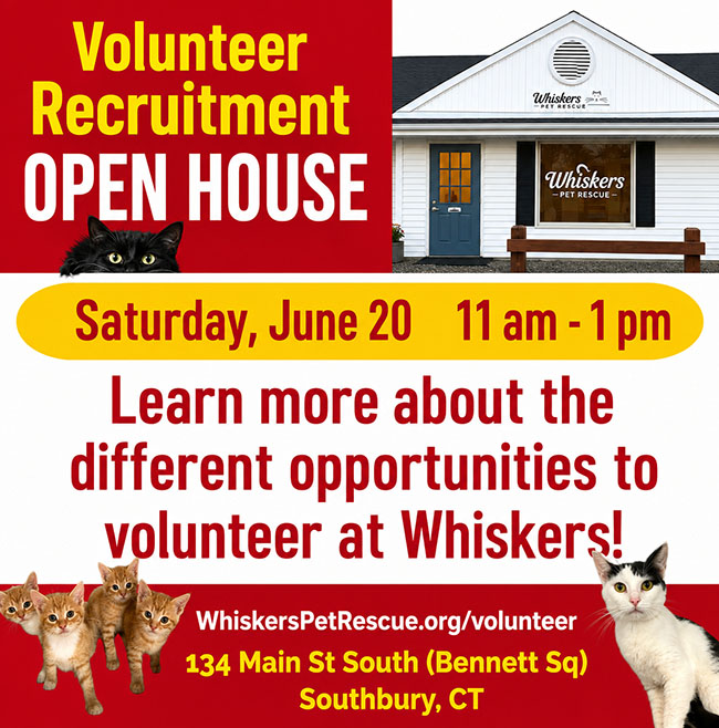 whiskers open house flyer