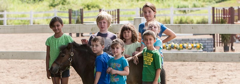 campers with a pony