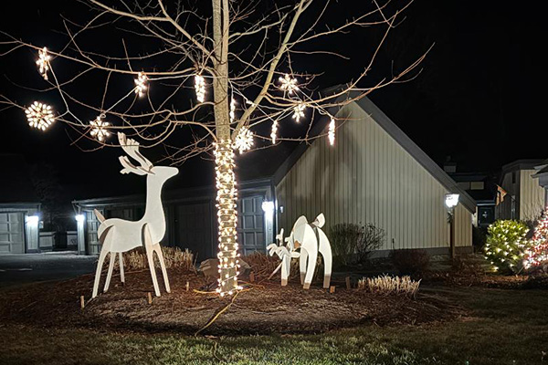 holiday house lights