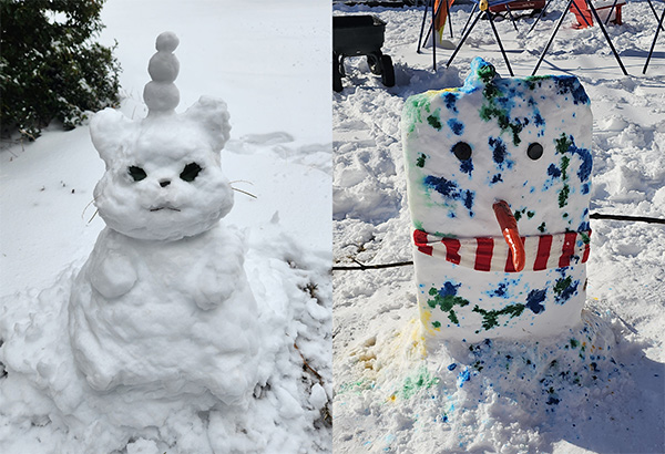 snow sculptures