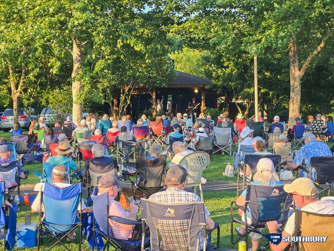 people enjoying a concert in the park