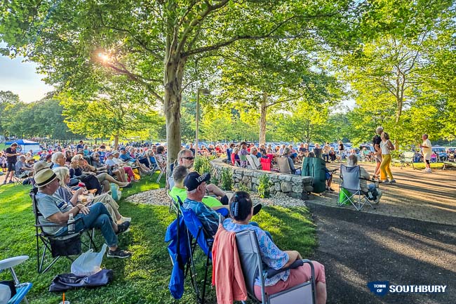people enjoying a concert in the park